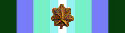 Operation Deep Freeze Participation Award w/Bronze Attachment Operation Deep Freeze Participation Award w/Bronze Attachment