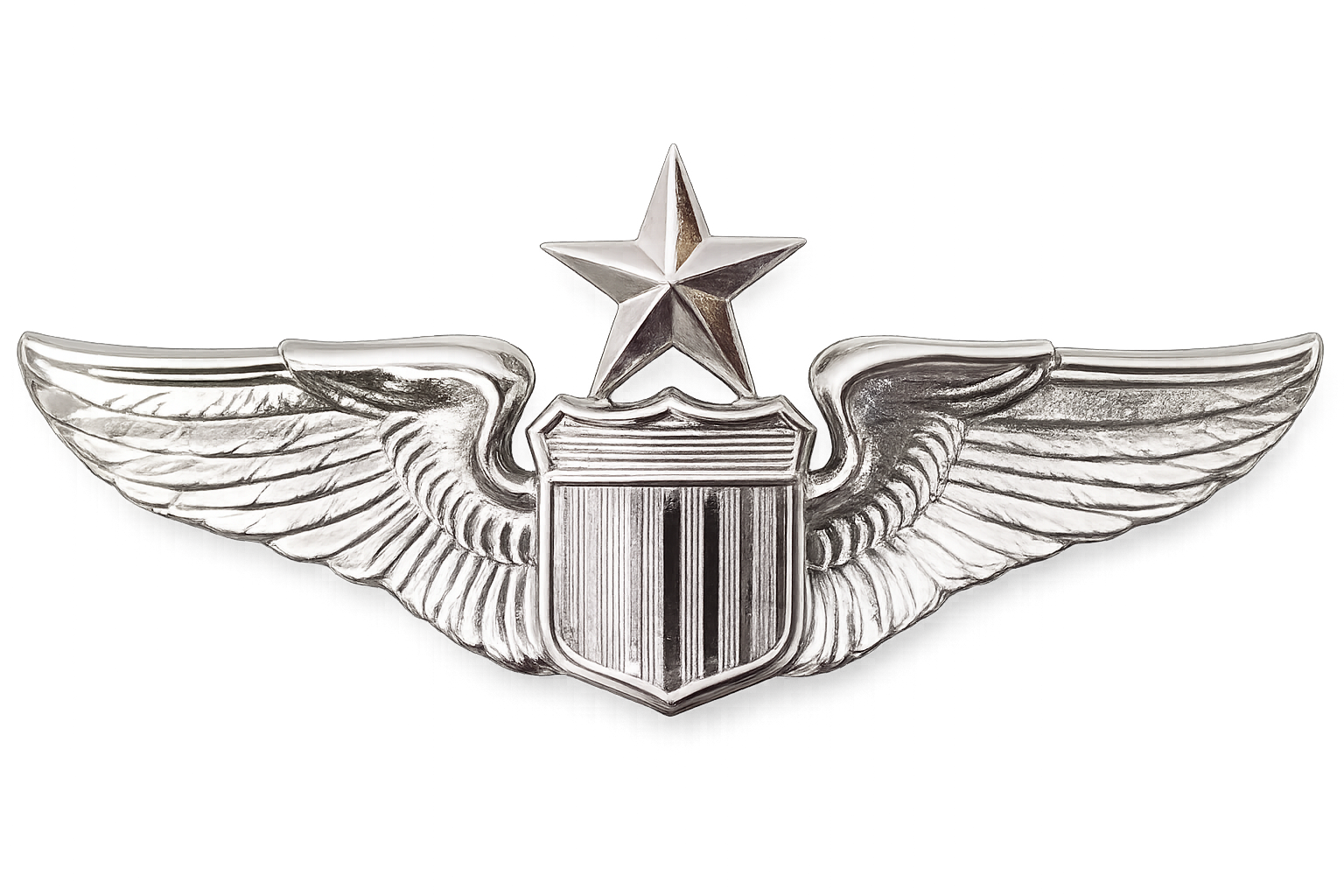 Senior Pilot Wings